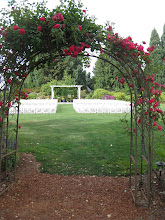 Venue-Wooden Shoe Tulip Farm