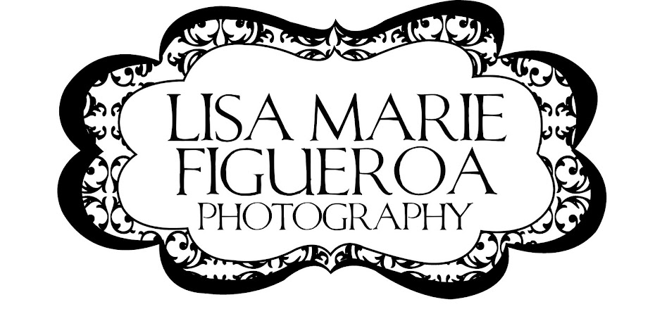 ~lisa marie figueroa photography blog~