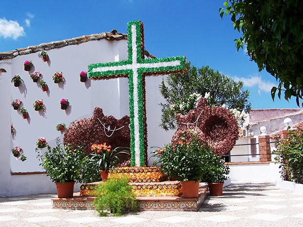 Cruz de Mayo en Los Panchez