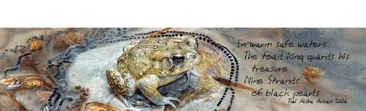 The Toad Abode