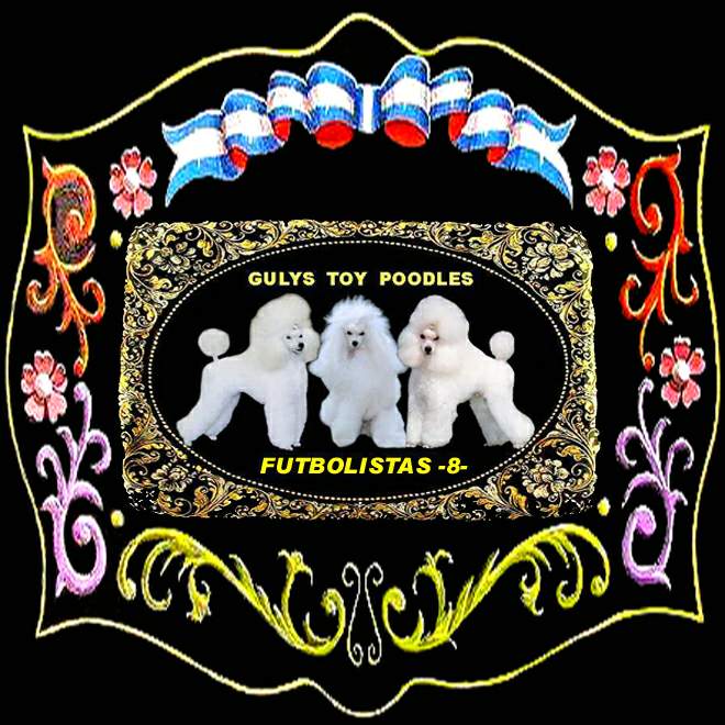 CANICHES GULYS - FUTBOLISTAS - 8 -