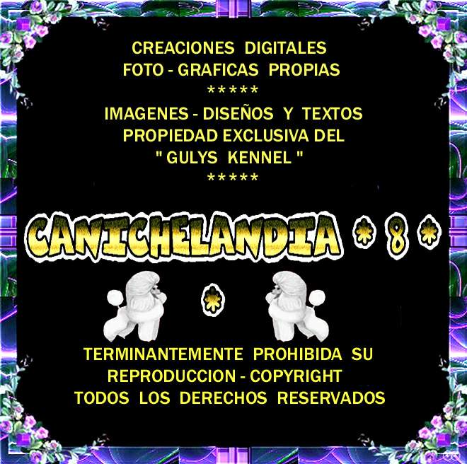CANICHES GULYS - CANICHELANDIA - 8 -