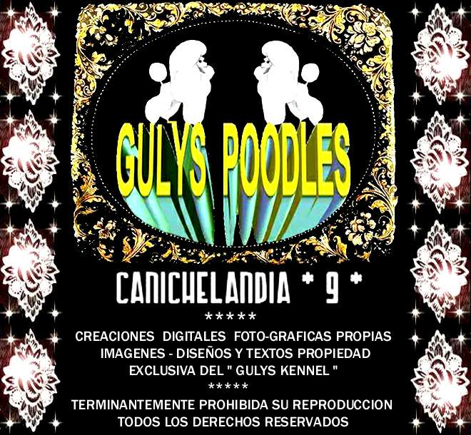 CANICHES GULYS - CANICHELANDIA - 9 -