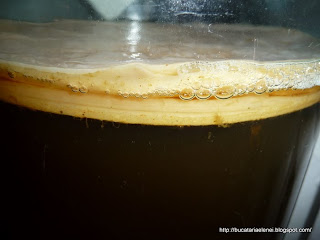 KOMBUCHA - bautura panaceu