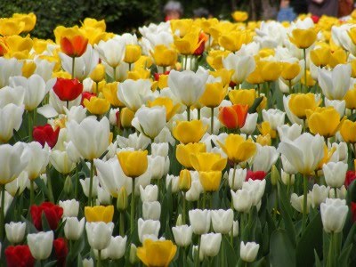 [2008_0413_0081.jpg]