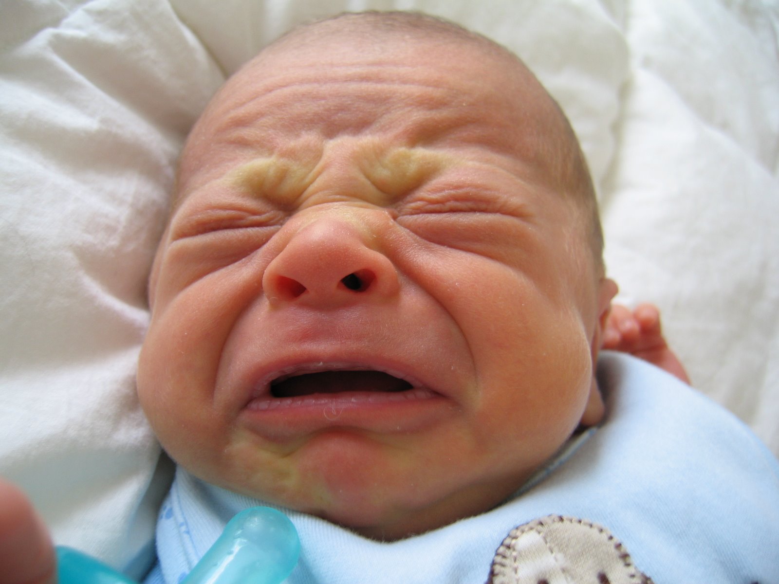 [Angry+Noah+001.JPG]