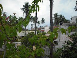 The Bay of Bengal in the distance - a shot from the patio