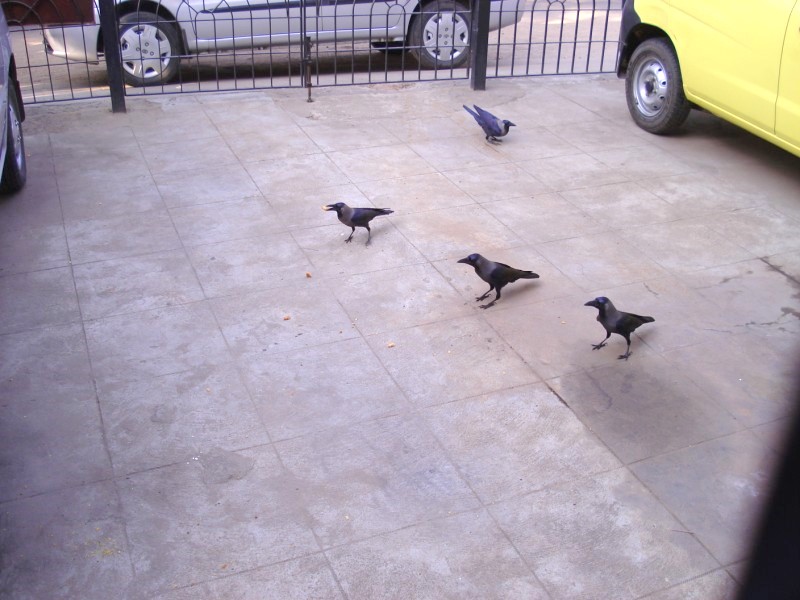 [DSC08169.jpg]
