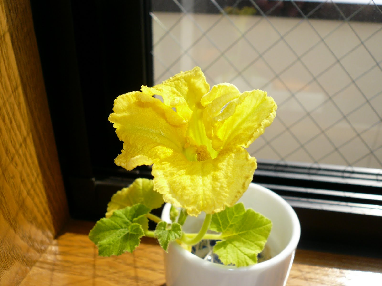 [P1020482.JPG]