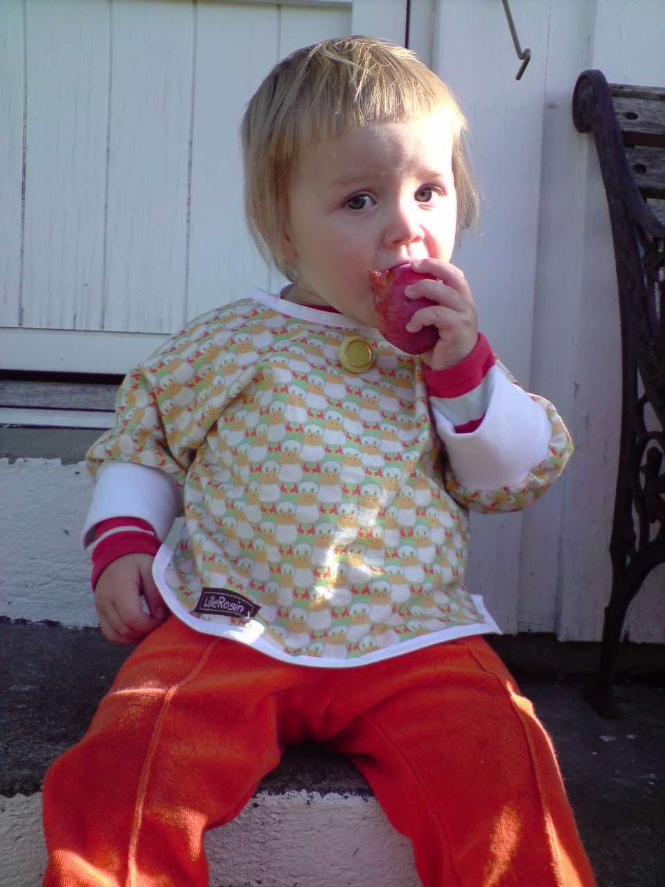 [P290809_09.33[01].JPG]