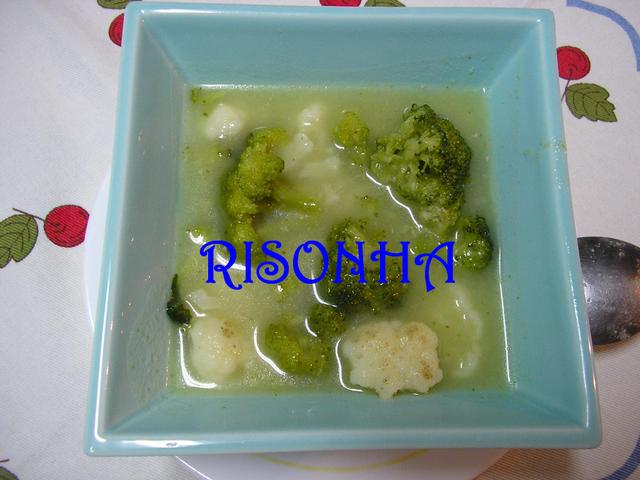 [SOPADEBRCULOSECOUVEFLOR001EDITED.jpg]