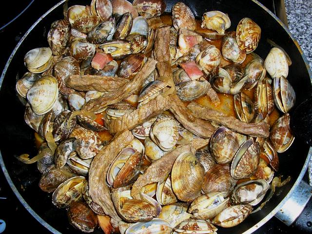 [TIRASDENOVILHOCOMAMEIJ0AS001.jpg]