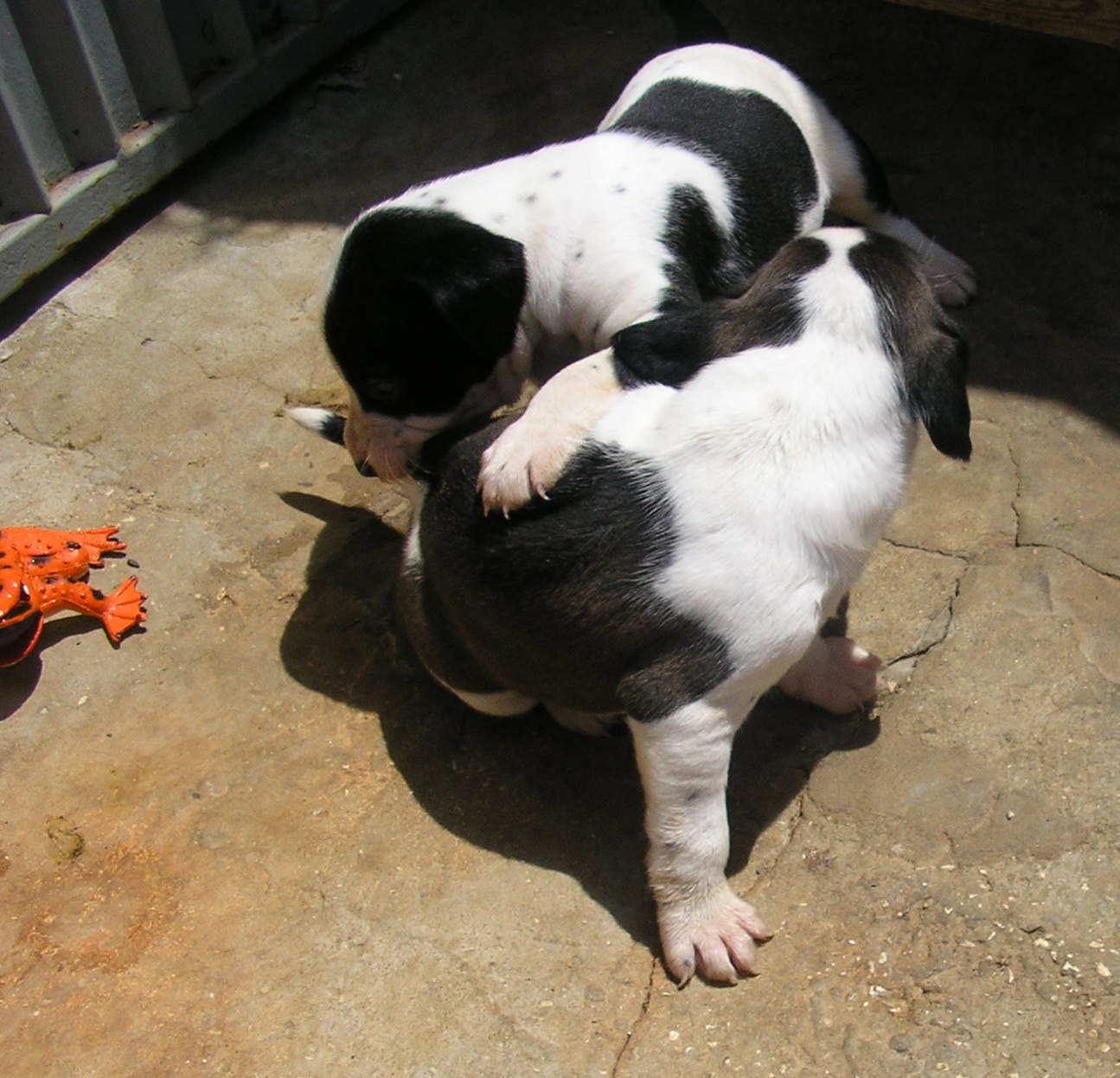 [aes+1+mês+011.jpg]