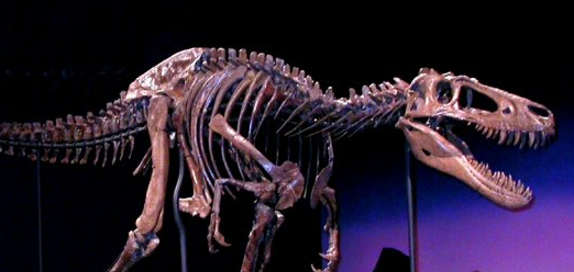 [Juvenile+T+rex.png]