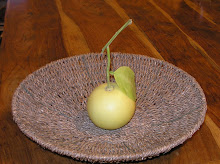 Fruit from the Garden - Binyamina