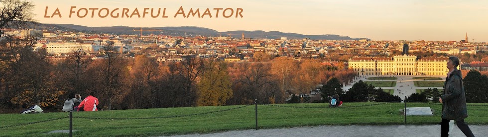 LA FOTOGRAFUL AMATOR