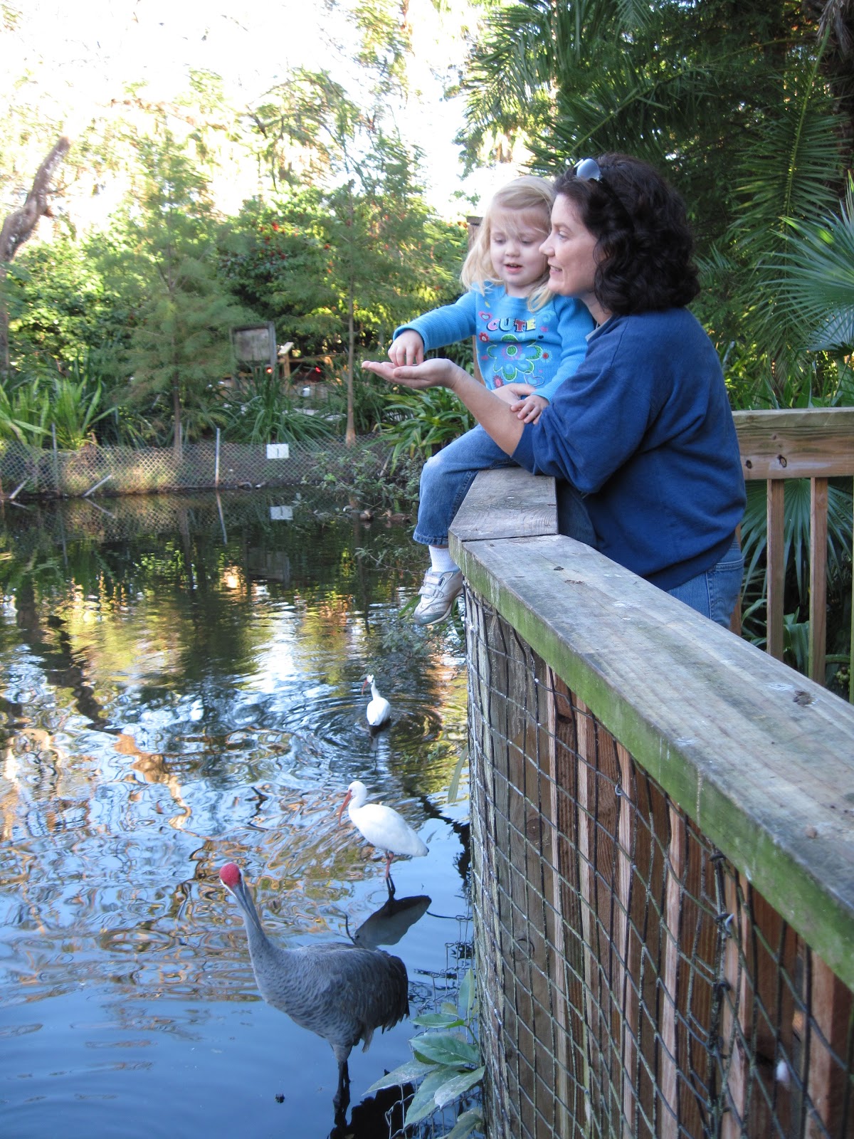 Keeping up with Kids Santa Weekends at Flamingo Gardens and Holiday