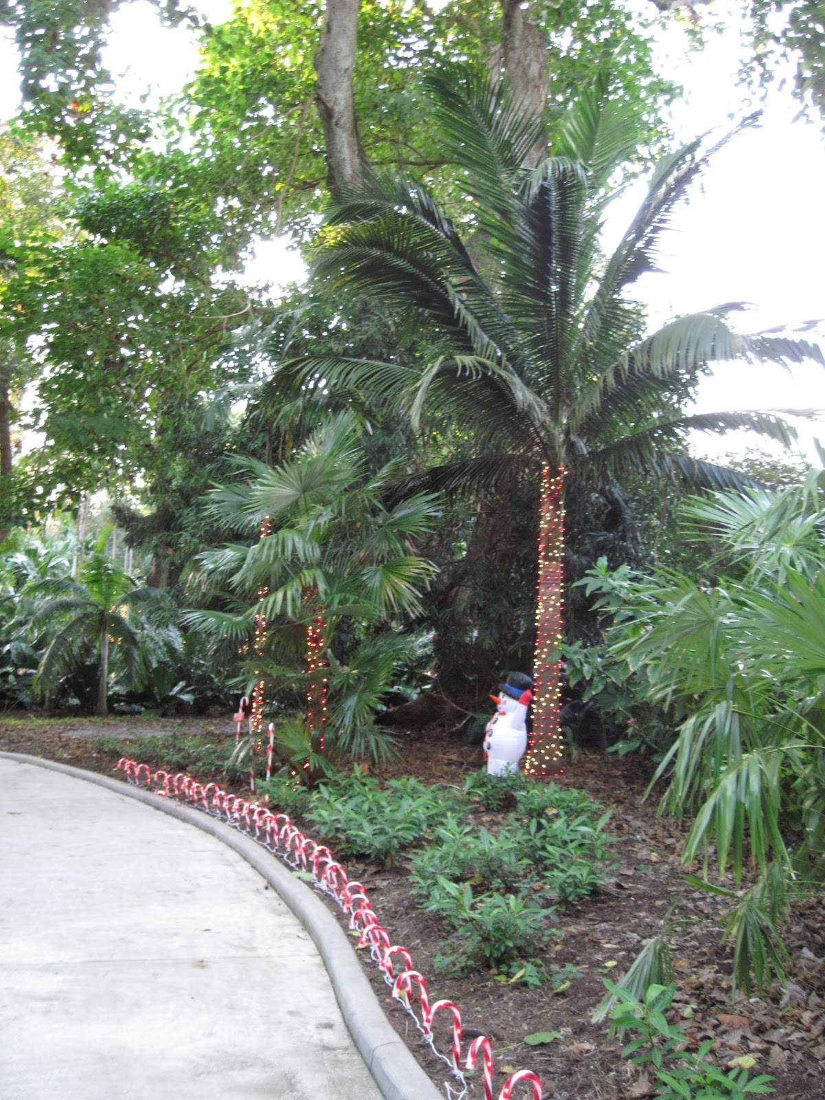 Keeping up with Kids Santa Weekends at Flamingo Gardens and Holiday
