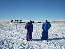 Check out our Snuggie blog
