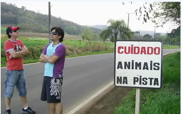 cuidado+animais.jpg