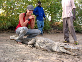 Crocodile sacré de Sabou