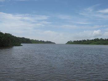 Rio Mazagão Novo