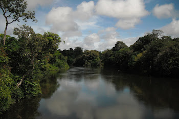 Rio Flechal