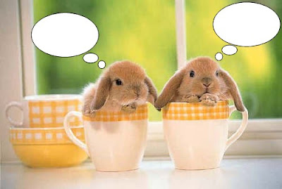 Julia's Journal: Funny Bunny Caption Contest!