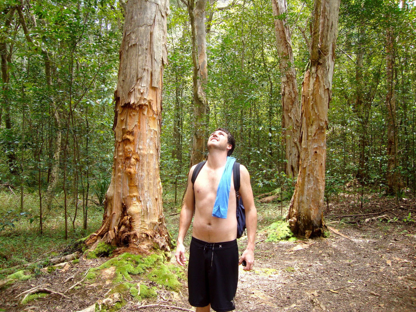 [DSC01242.JPG]