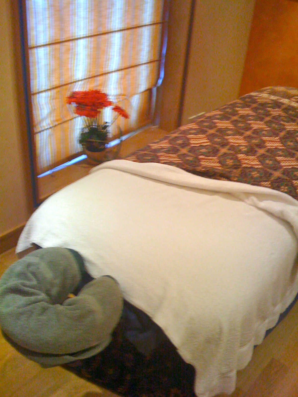 [IMG_0776.jpg]
