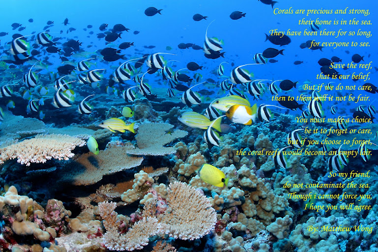 Poem On Coral Reefs