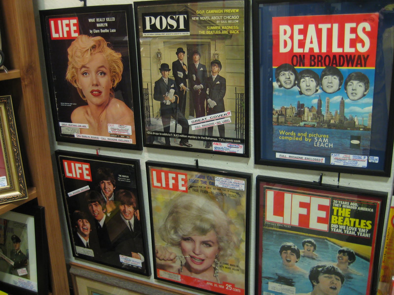 C. Dianne Zweig Kitsch 'n Stuff Mount Collectible Magazines Or