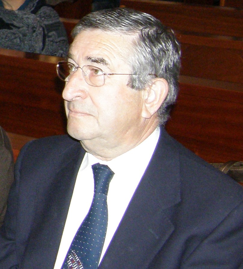 [P2070012 - Cópia.JPG]