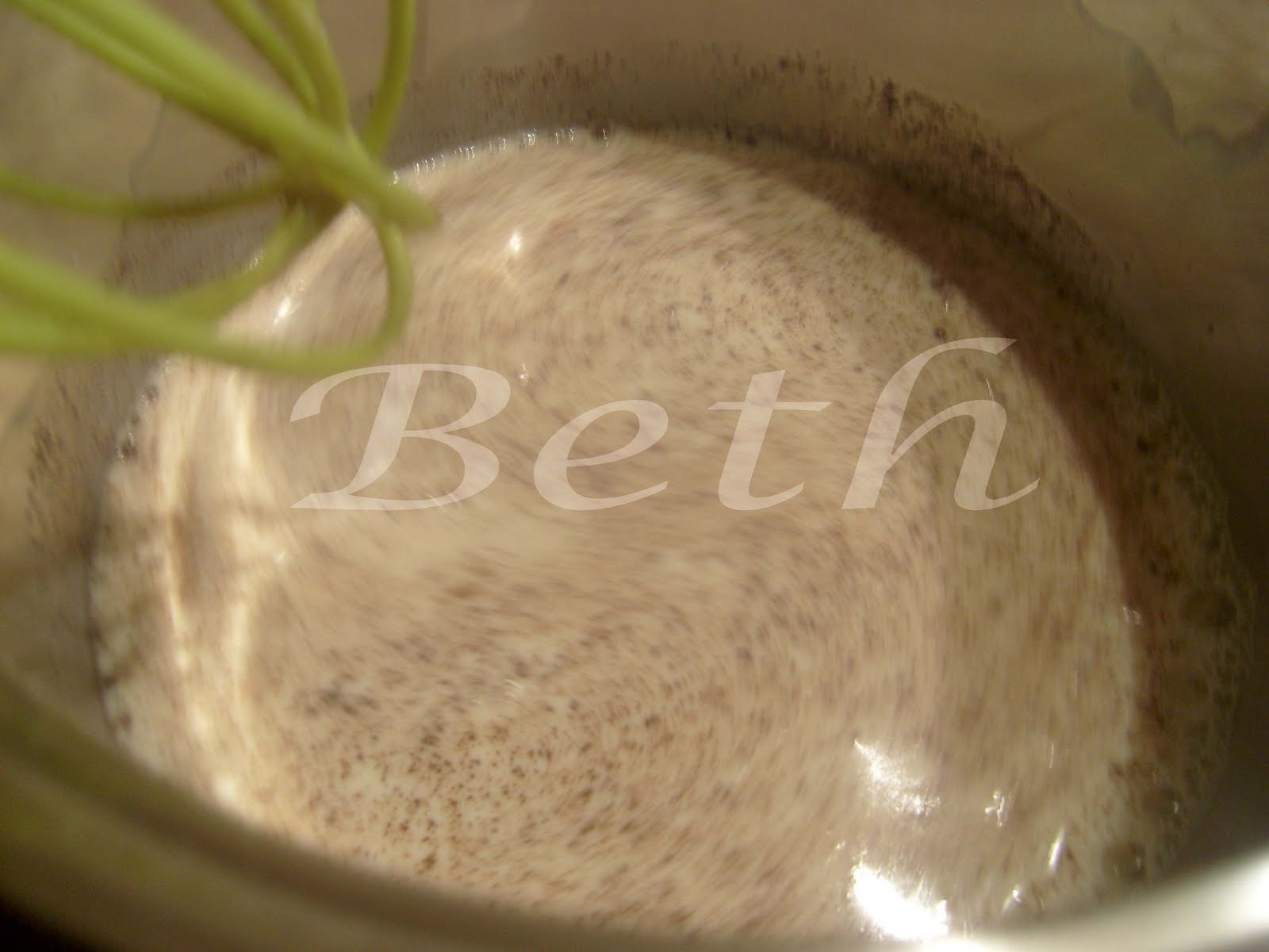 [Photo+006+copie.jpg]