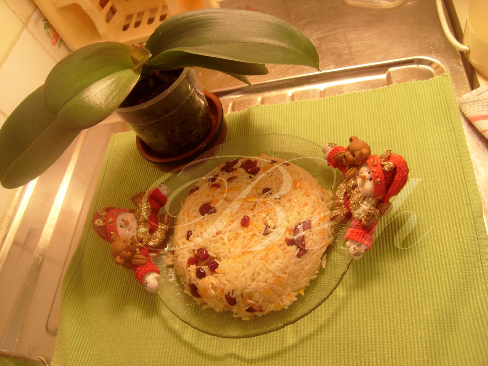 [Photo+039+copie.jpg]