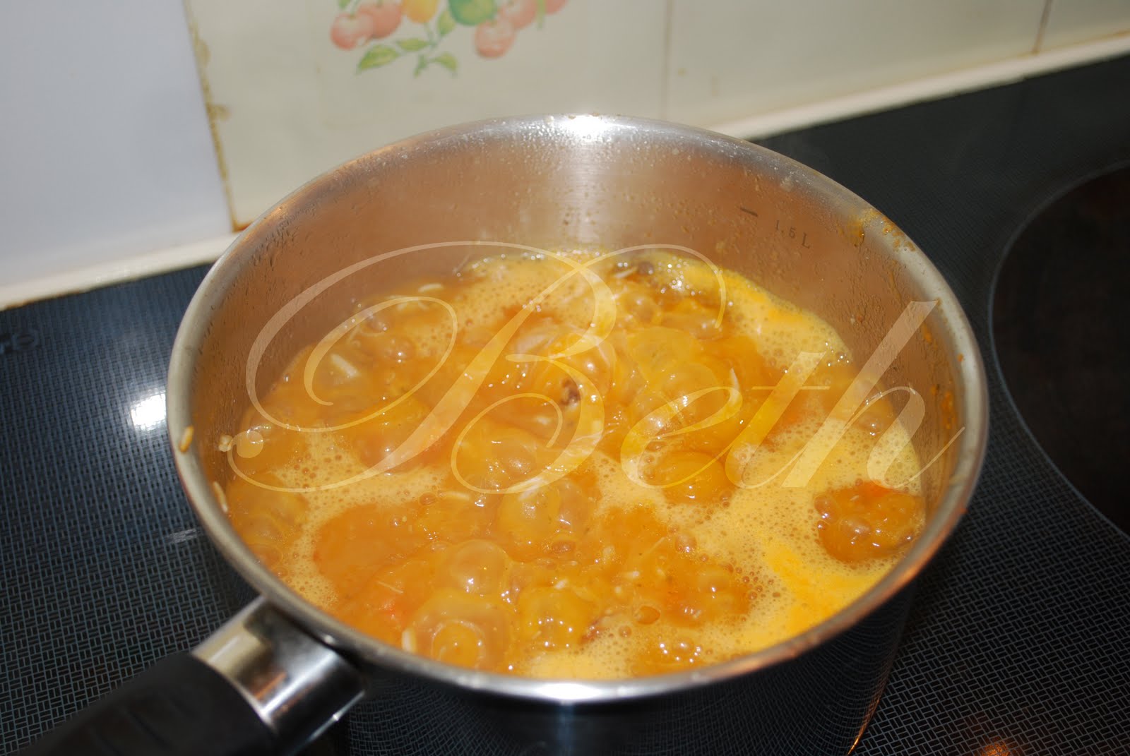 [Photo+014+copie.jpg]