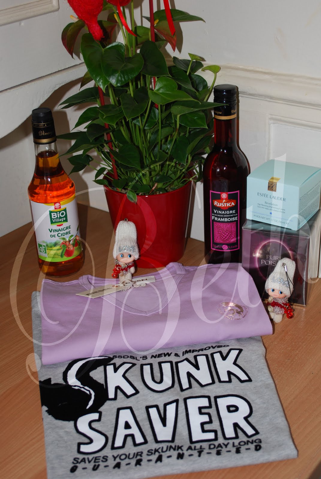 [Photo+037+copie.jpg]