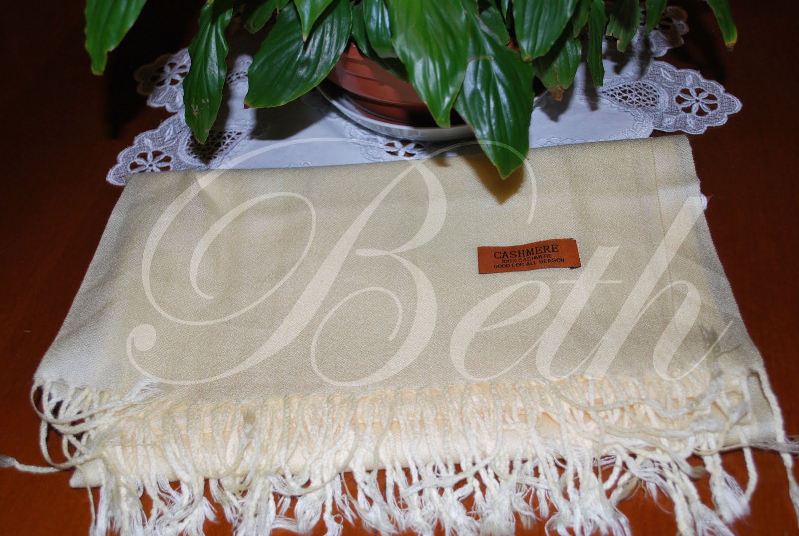 [Photo+102+copie.jpg]