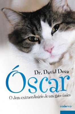 Resultado de imagem para livro sobre o gato oscar