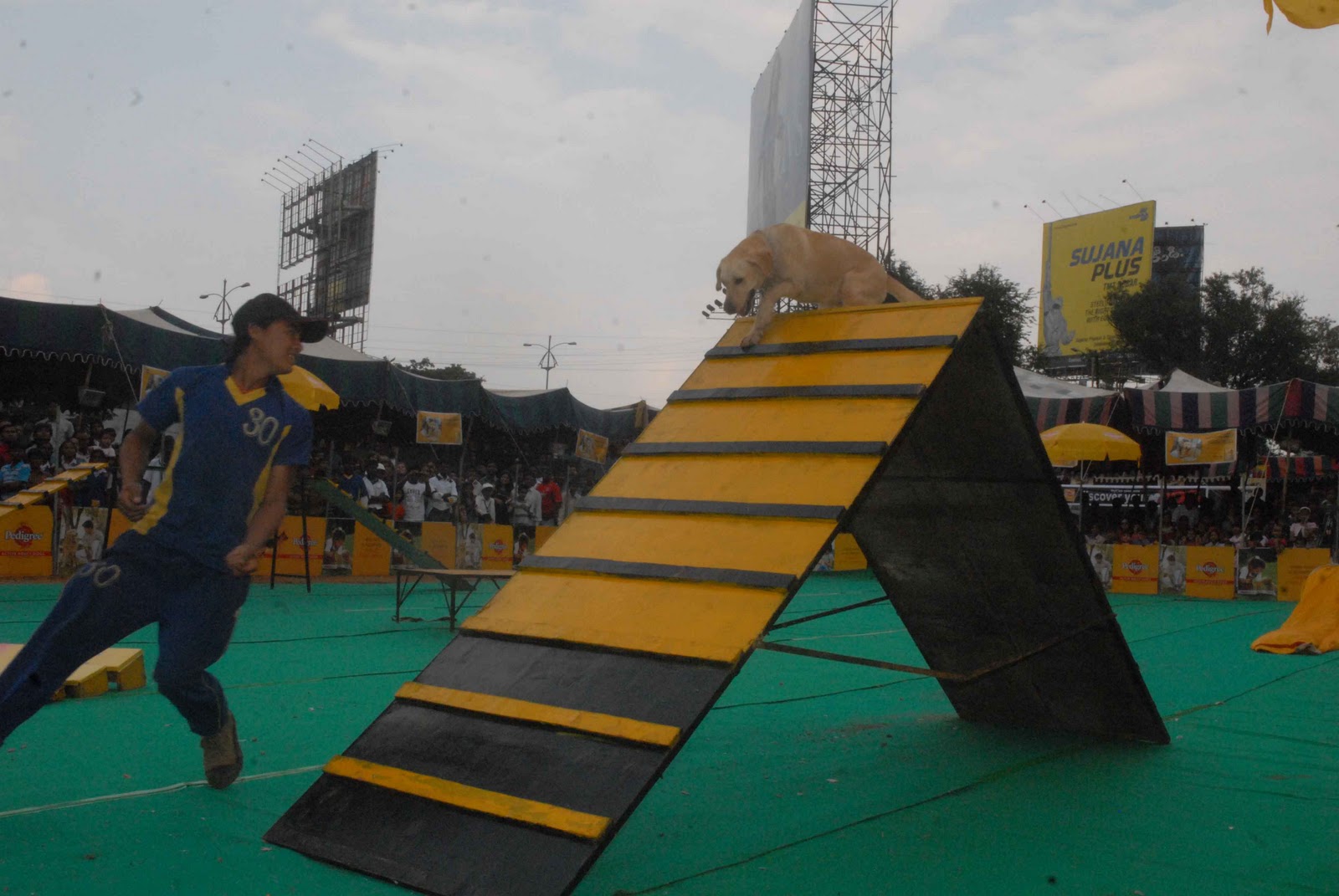 test Sports Dog Show at Hyderabad Stills, Hyderabad Canine Club Dog