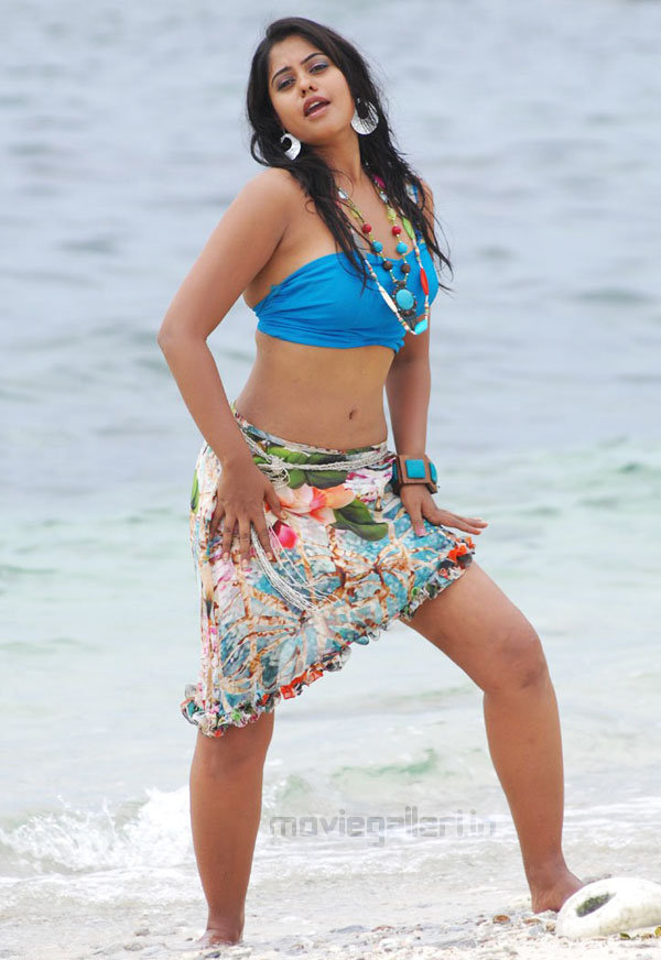 Bindhu Madhavi Hot Stills Bindu Madhavi Hot Navel Pics Actress Masala Gallery
