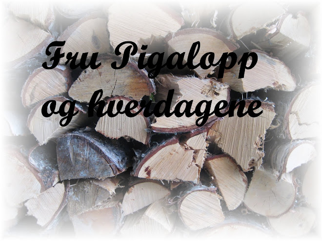 Fru Pigalopp og hverdagene