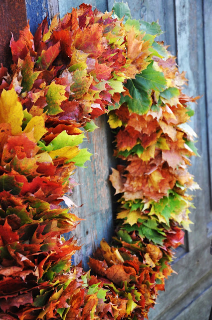 Les secrets des feuilles d'automne