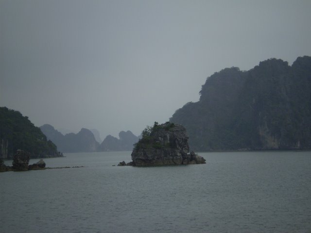 [hapview4.JPG]