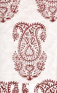 [rwpaisleyindie.jpeg]