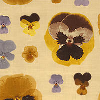 [favigdorviolet.jpeg]