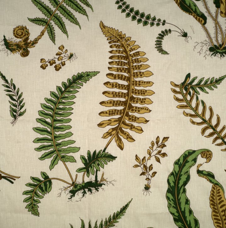 [floraldewolfe.jpeg]