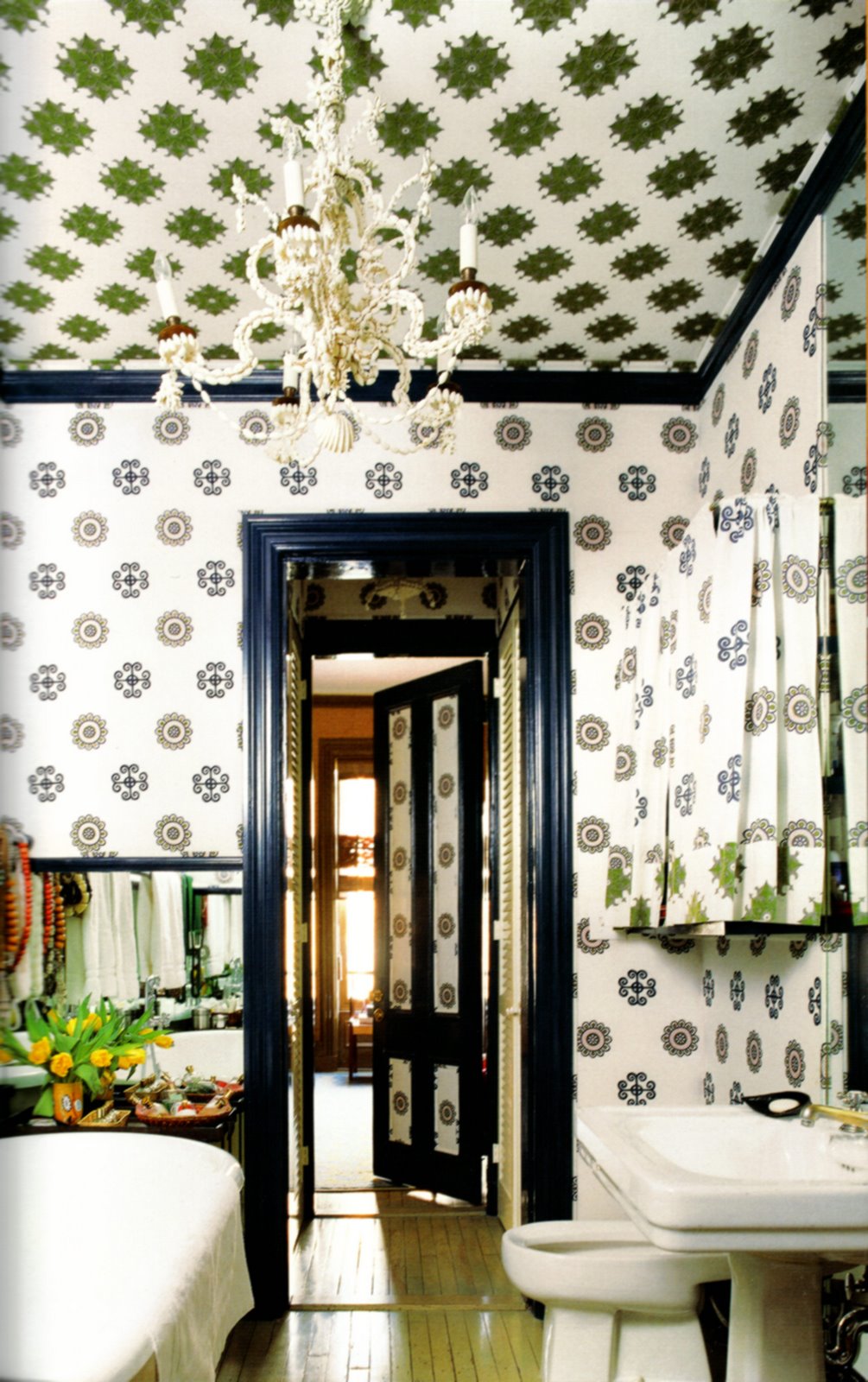 [shellbrandolini.jpeg]