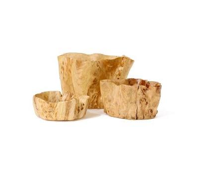 [budgetburlanthro.jpeg]