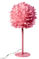 [featherhatmat2.jpeg]